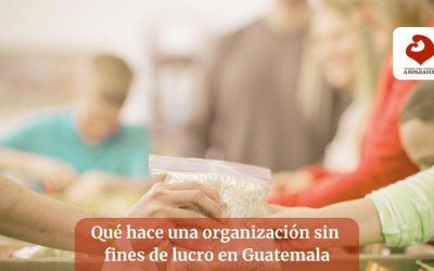 ¿Qué hace una organización sin fines de lucro en Guatemala?