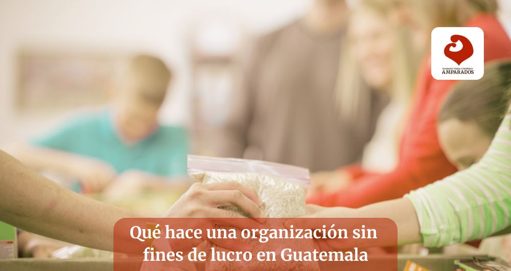 organización sin fines de lucro Organización sin fines de lucro